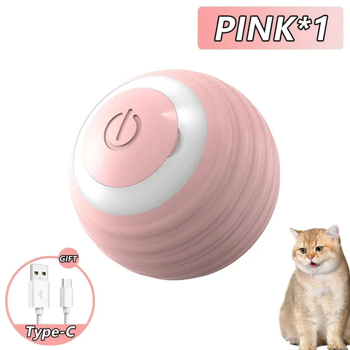 Spin Ball for Cats